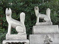 日記の画像