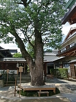 日記の画像