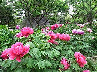 日記の画像