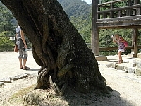 日記の画像