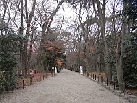 日記の画像