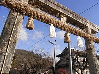 日記の画像