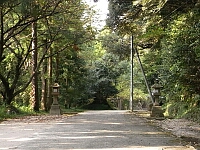 日記の画像