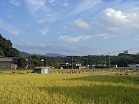 日記の画像