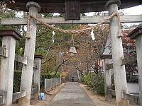 日記の画像