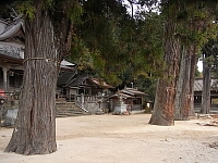 日記の画像