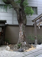日記の画像