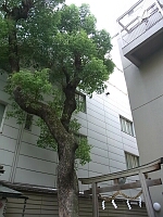 日記の画像