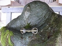 日記の画像