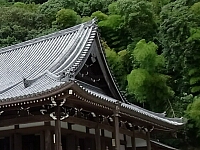 日記の画像