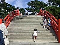 日記の画像