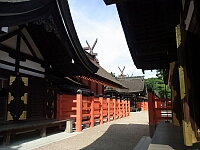 日記の画像