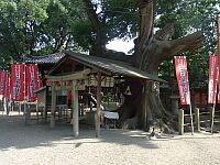 日記の画像
