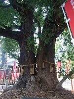 日記の画像