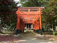 日記の画像