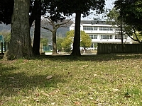 日記の画像