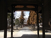 日記の画像
