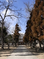 日記の画像