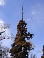 日記の画像