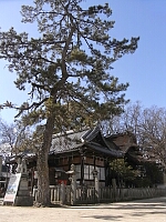 日記の画像