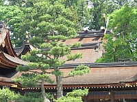 日記の画像
