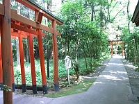 日記の画像
