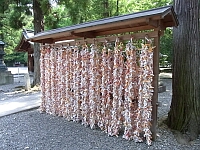 日記の画像