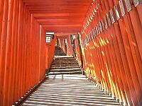 日記の画像
