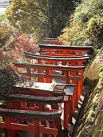 日記の画像