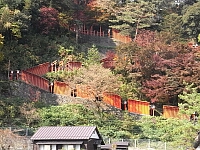 日記の画像