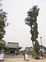 日記の画像