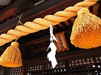 日記の画像