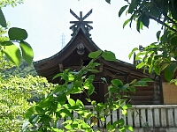 日記の画像