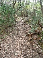 日記の画像