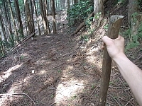 日記の画像