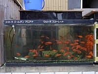日記の画像