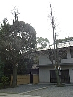 日記の画像