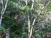 日記の画像