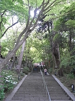 日記の画像