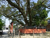 日記の画像