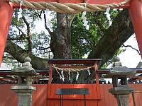 日記の画像