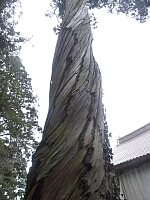 日記の画像