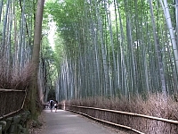 日記の画像