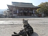 一覧の画像