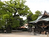 一覧の画像
