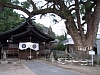 一覧の画像