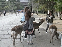 日記の画像