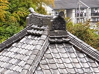 日記の画像
