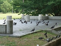 日記の画像