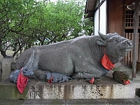 日記の画像